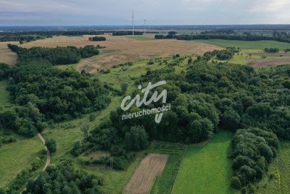 Działka Sprzedaż Prusinowo