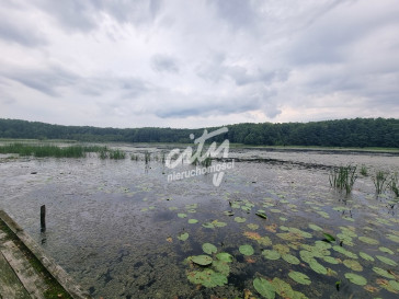 Dom Sprzedaż Wierzchówko