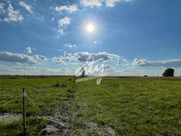 Działka Sprzedaż Wierzbno