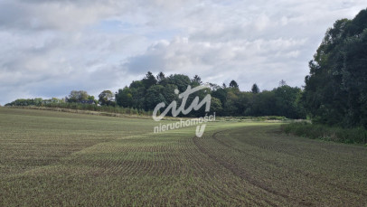 Działka Sprzedaż Niekładź