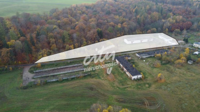 Magazyn Sprzedaż Dziwogóra