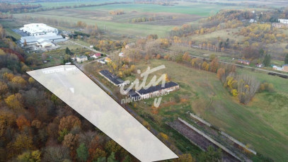 Magazyn Sprzedaż Dziwogóra
