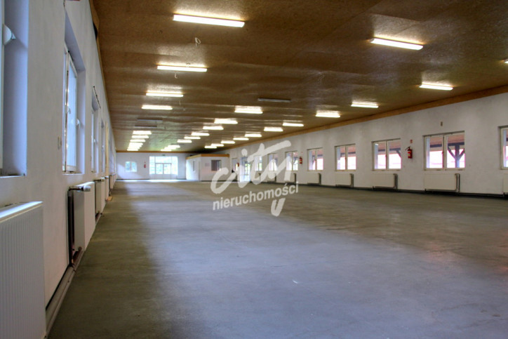 Magazyn Wynajem Lubieszyn 2
