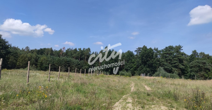 Działka Sprzedaż Kościno 4