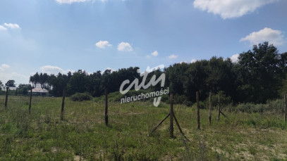 Działka Sprzedaż Kościno