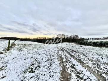 Działka Sprzedaż Kołowo
