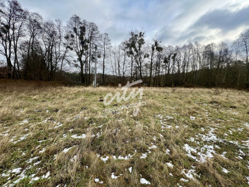 Działka Sprzedaż Brzózki