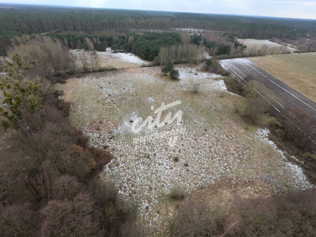 Działka Sprzedaż Brzózki 13