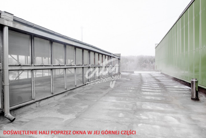Obiekt Wynajem Szczecin 5