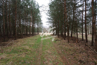 Działka Sprzedaż Krzywice