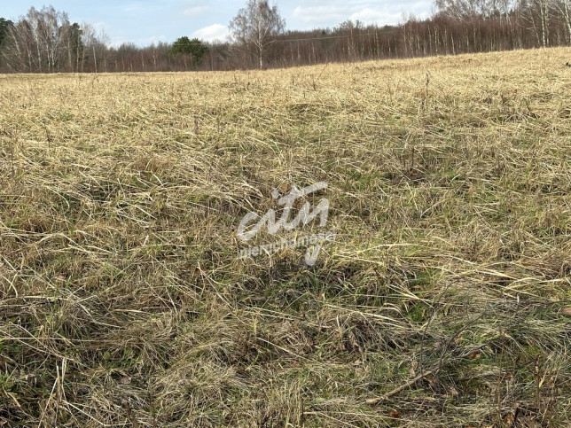 Działka Sprzedaż Storkowo 6