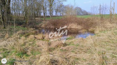 Działka Sprzedaż Dębina