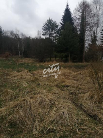Działka Sprzedaż Stawno 4