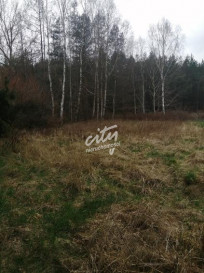 Działka Sprzedaż Stawno