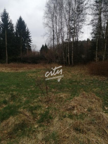 Działka Sprzedaż Stawno 6