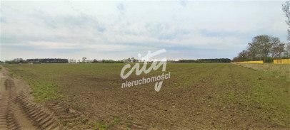 Działka Sprzedaż Lubczyna