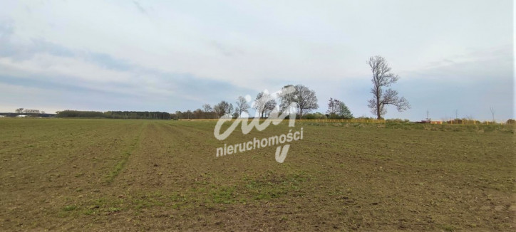 Działka Sprzedaż Lubczyna 4
