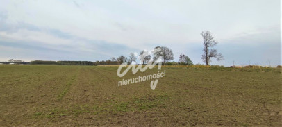Działka Sprzedaż Lubczyna