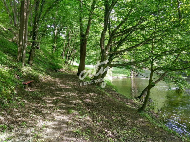 Działka Sprzedaż Barnimie 6