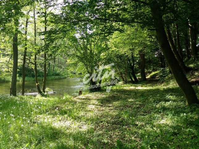 Działka Sprzedaż Barnimie 2
