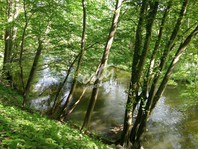 Działka Sprzedaż Barnimie 5