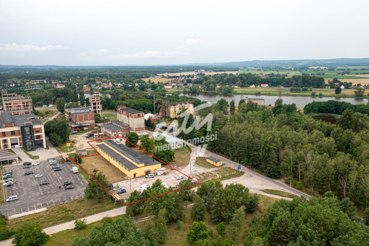 Obiekt Sprzedaż Osinów Dolny 1