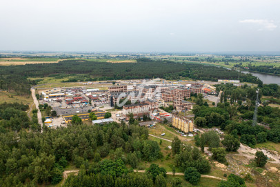 Obiekt Sprzedaż Osinów Dolny