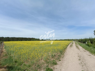 Działka Sprzedaż Stawno