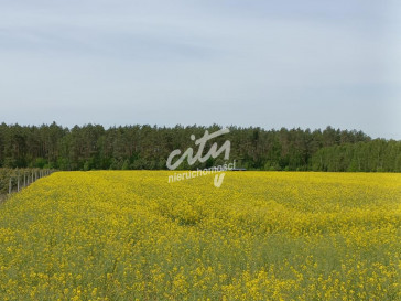 Działka Sprzedaż Stawno