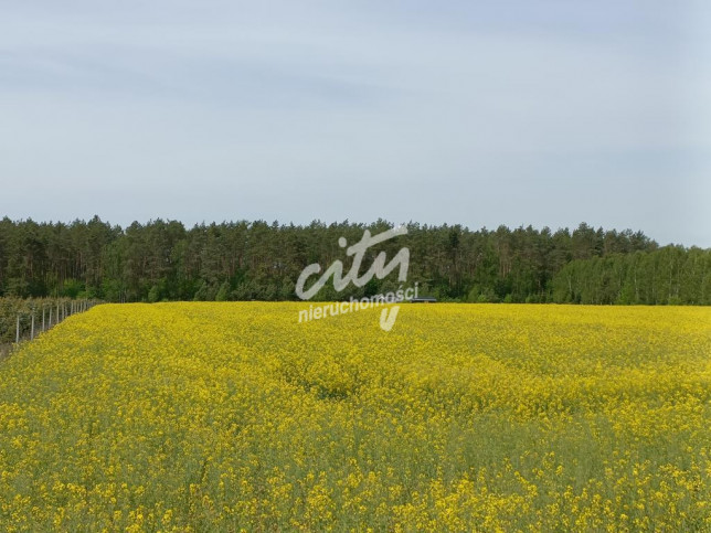 Działka Sprzedaż Stawno 5