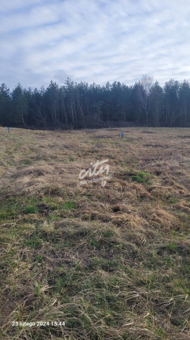 Działka Sprzedaż Zieleniewo 2