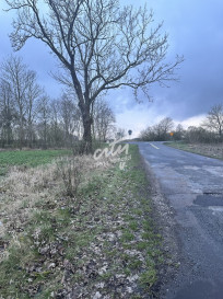 Działka Sprzedaż Ryszewko