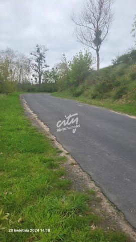 Działka Sprzedaż Zieleniewo 8