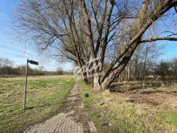 Działka Sprzedaż Trzebież
