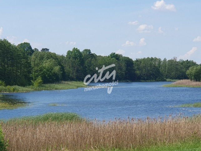 Działka Sprzedaż Zieleniewo 4