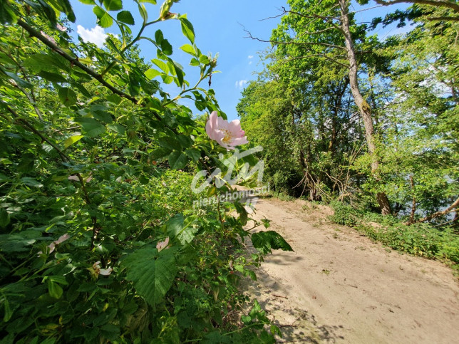 Działka Sprzedaż Zieleniewo 5