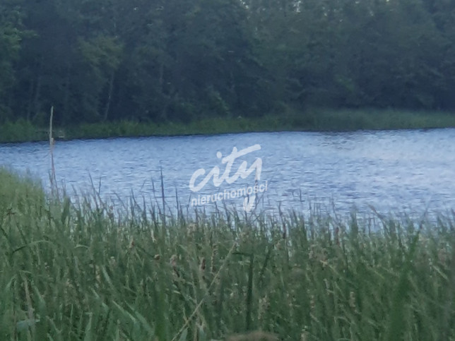 Działka Sprzedaż Zieleniewo 1
