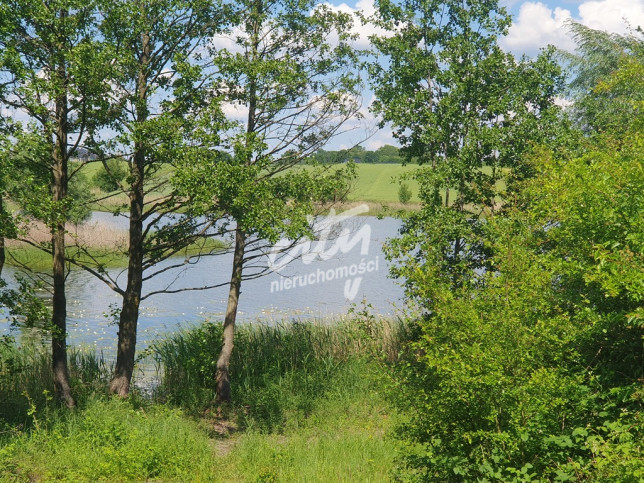 Działka Sprzedaż Zieleniewo 2