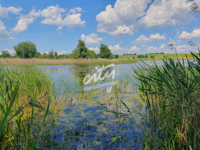 Działka Sprzedaż Zieleniewo 7