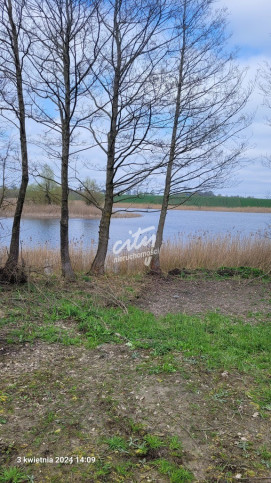 Działka Sprzedaż Zieleniewo 5