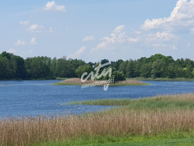 Działka Sprzedaż Zieleniewo 1