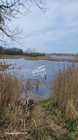 Działka Sprzedaż Zieleniewo 3