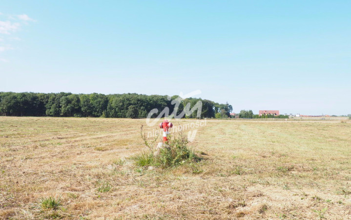 Działka Sprzedaż Śliwin 1