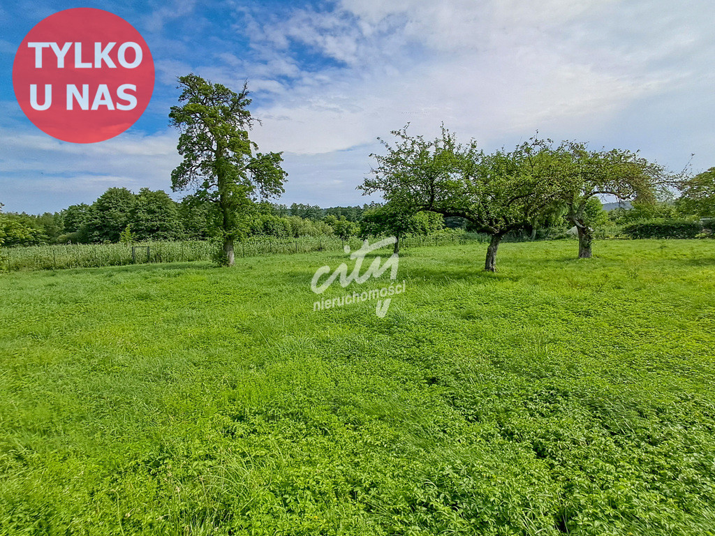 Działka Sprzedaż Wapnica