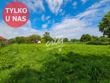Działka Sprzedaż Wapnica