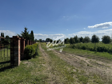 Działka Sprzedaż Lubczyna